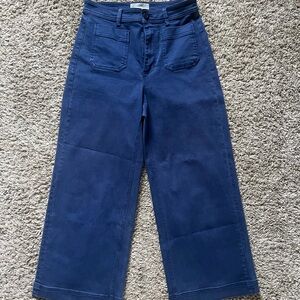 Everlane Blue Flare Wide-Leg Pants